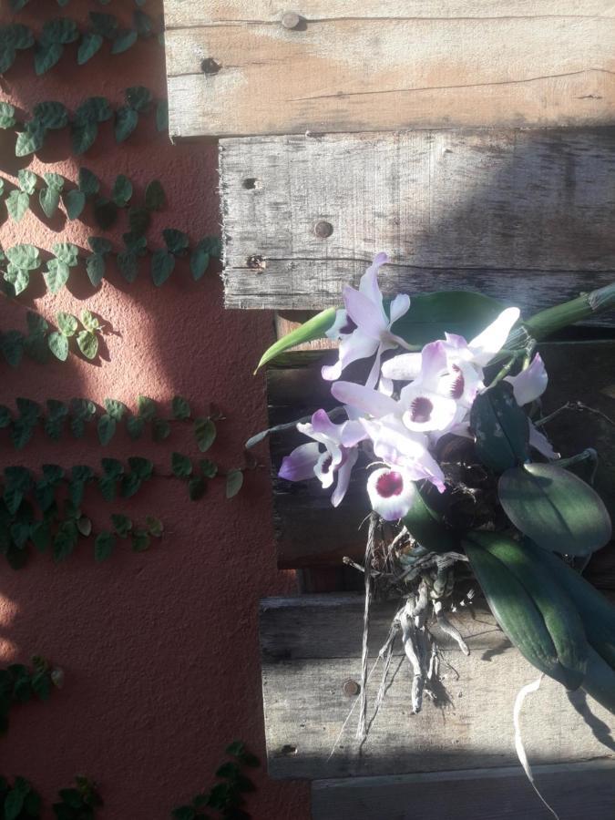 Casa Indaia Bnb - Casa Compartilhada คารากัวตาตูบา ภายนอก รูปภาพ