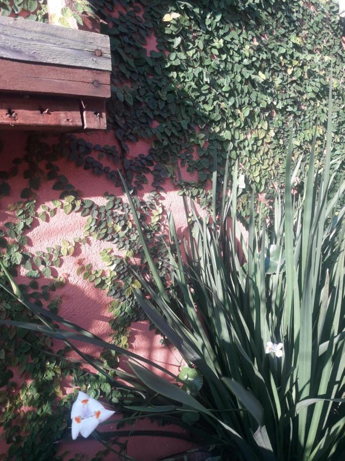 Casa Indaia Bnb - Casa Compartilhada คารากัวตาตูบา ภายนอก รูปภาพ