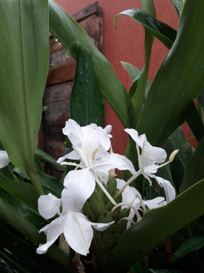 Casa Indaia Bnb - Casa Compartilhada คารากัวตาตูบา ภายนอก รูปภาพ