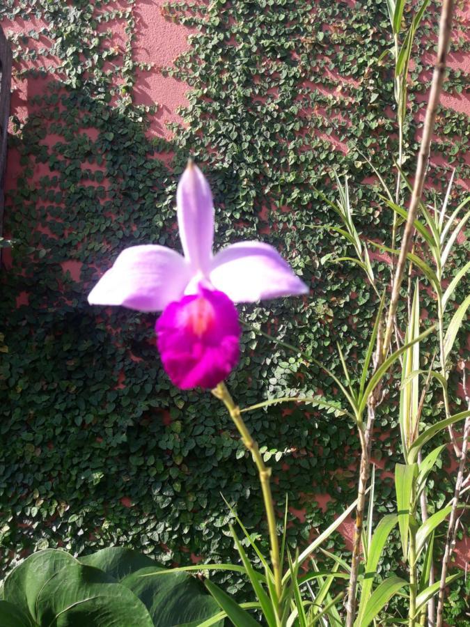 Casa Indaia Bnb - Casa Compartilhada คารากัวตาตูบา ภายนอก รูปภาพ