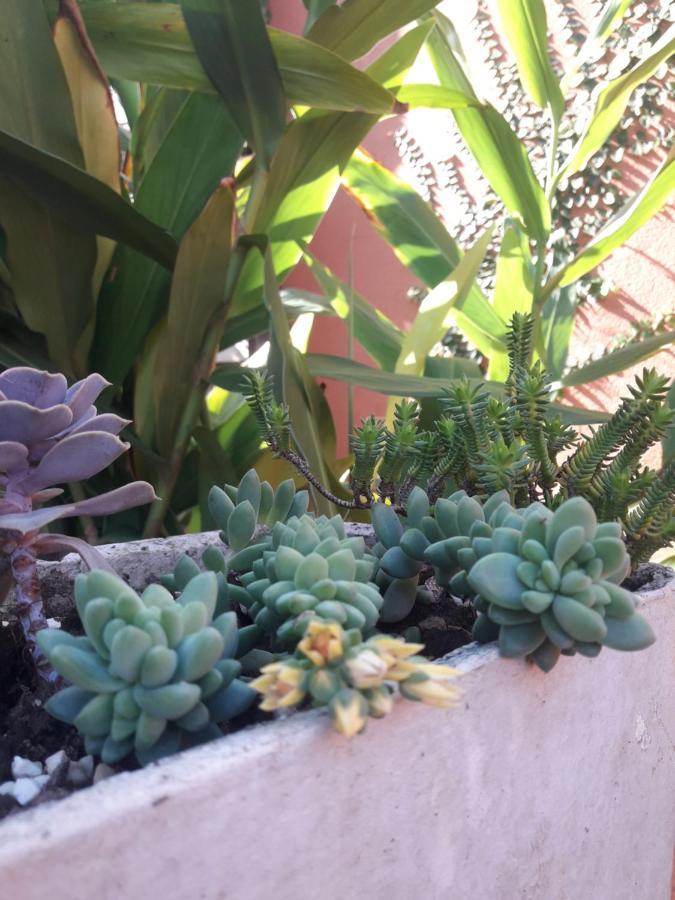 Casa Indaia Bnb - Casa Compartilhada คารากัวตาตูบา ภายนอก รูปภาพ